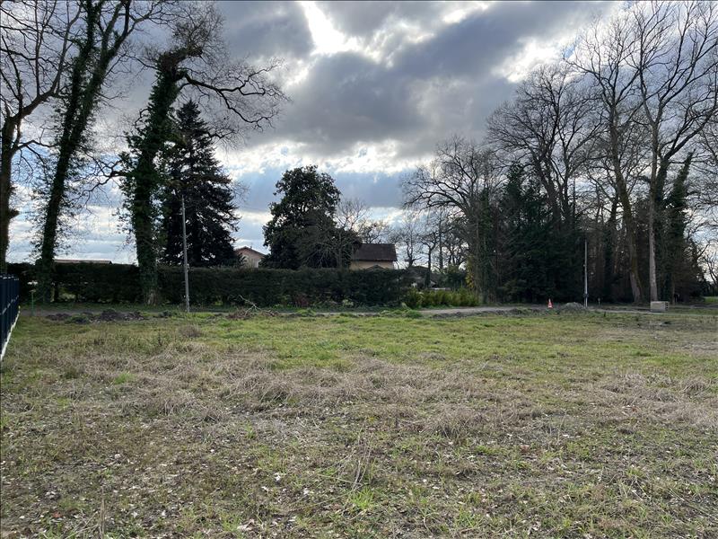 Vente Terrain SORT EN CHALOSSE - -944 m² - (40180)