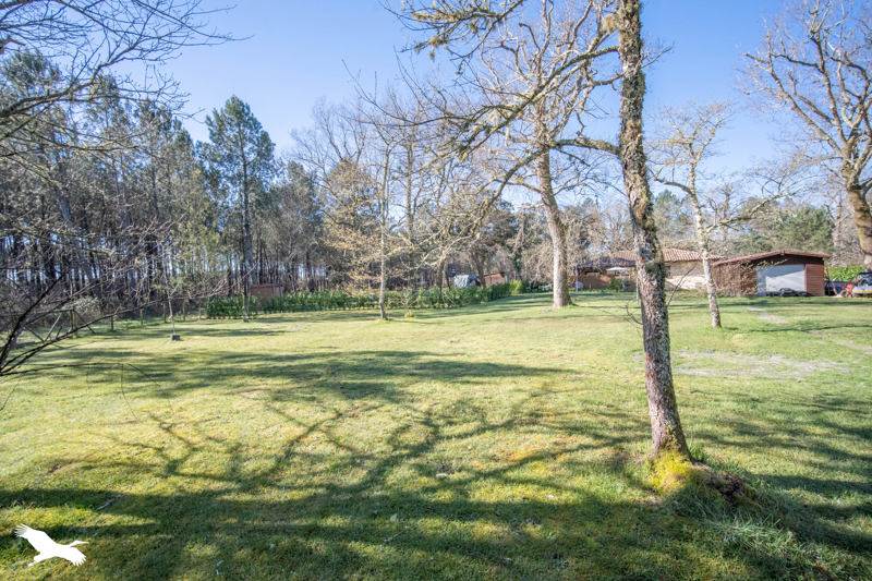 Vente Maison LEVIGNACQ - 5 pièces -177 m² - (40170)