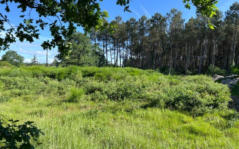 Vente Terrain LESPERON - -1796 m² - (40260)