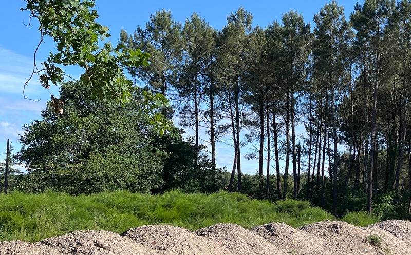 Vente Terrain LESPERON - -1796 m² - (40260)