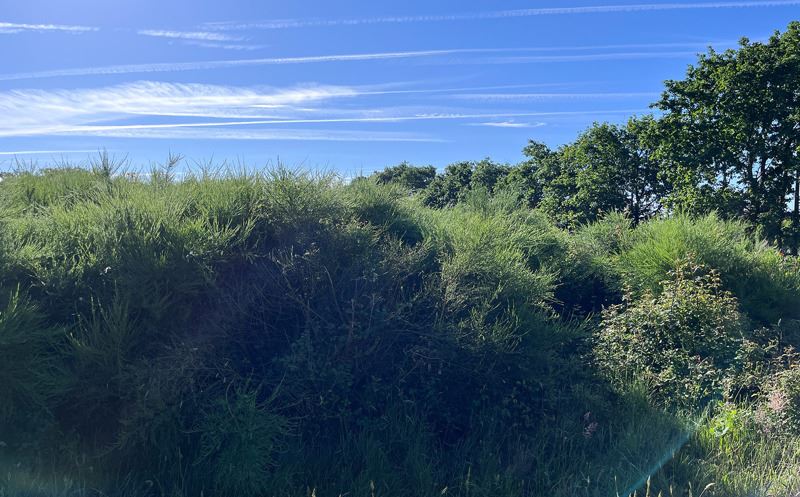 Vente Terrain LESPERON - -1796 m² - (40260)