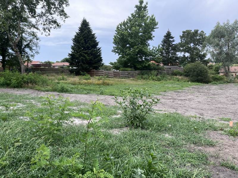 Vente Terrain CASTETS - -1183 m² - (40260)
