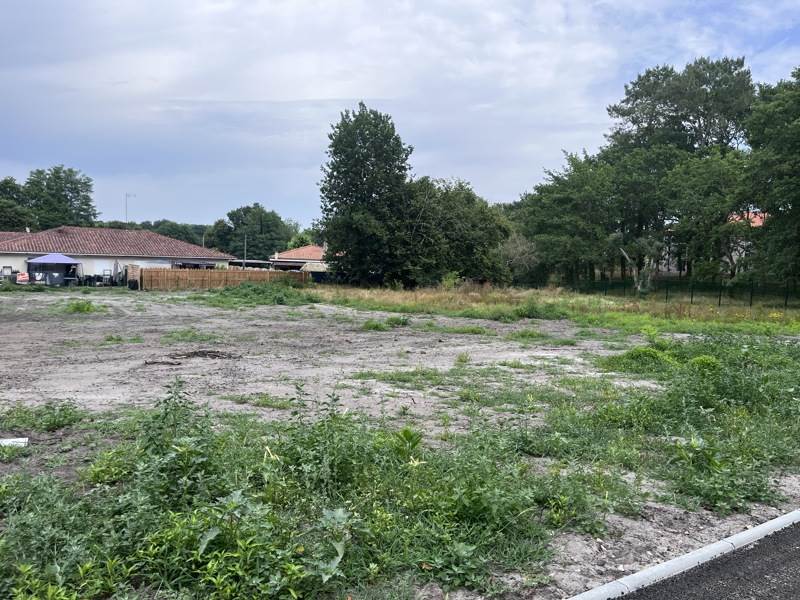 Vente Terrain CASTETS - -1302 m² - (40260)