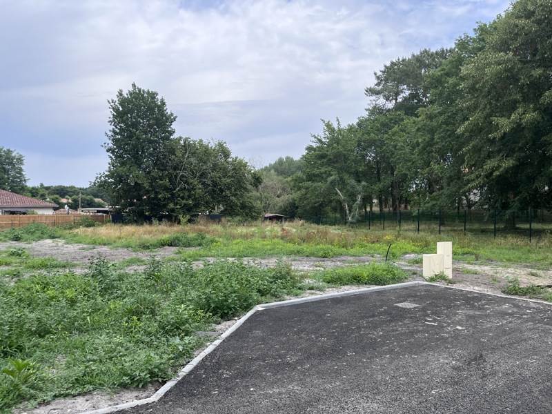 Vente Terrain CASTETS - -1302 m² - (40260)