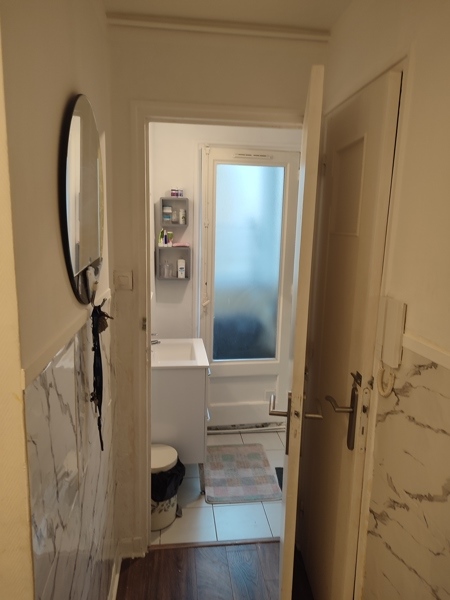 Vente Appartement VILLEURBANNE - 3 pièces -52 m² - (69100)