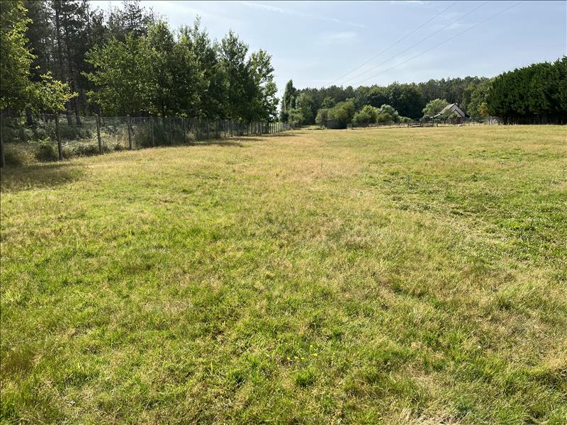 Vente Terrain CHOUSSY - -1579 m² - (41700)