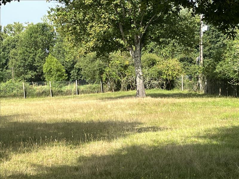 Vente Terrain CHOUSSY - -1592 m² - (41700)