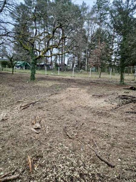 Vente Terrain LES MONTILS - -2209 m² - (41120)