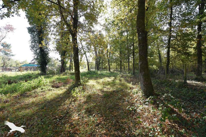 Vente Maison SASSAY - 4 pièces -139 m² - (41700)