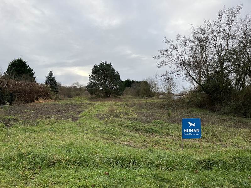 Vente Terrain CHEMERY - -5903 m² - (41700)