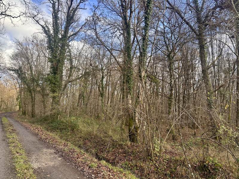 Vente Terrain FONTAINES EN SOLOGNE - -119780 m² - (41250)