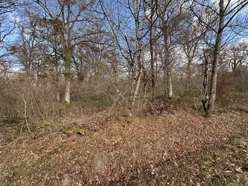 Vente Terrain FONTAINES EN SOLOGNE - -119780 m² - (41250)