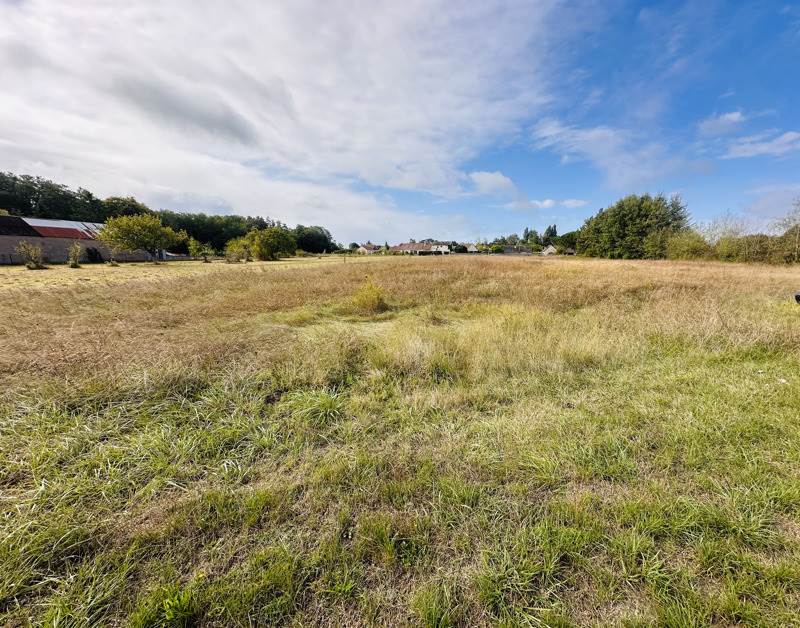 Vente Terrain LE CONTROIS EN SOLOGNE - -983 m² - (41120)