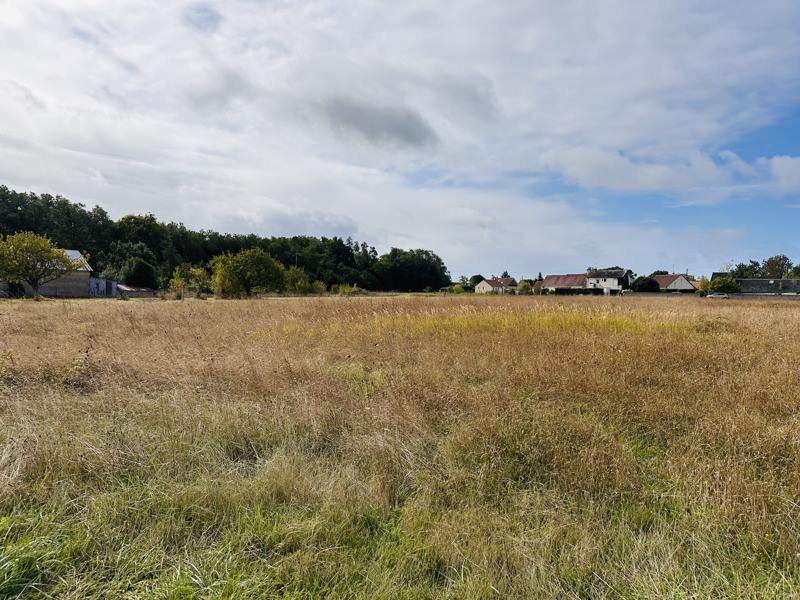 Vente Terrain LE CONTROIS EN SOLOGNE - -818 m² - (41120)
