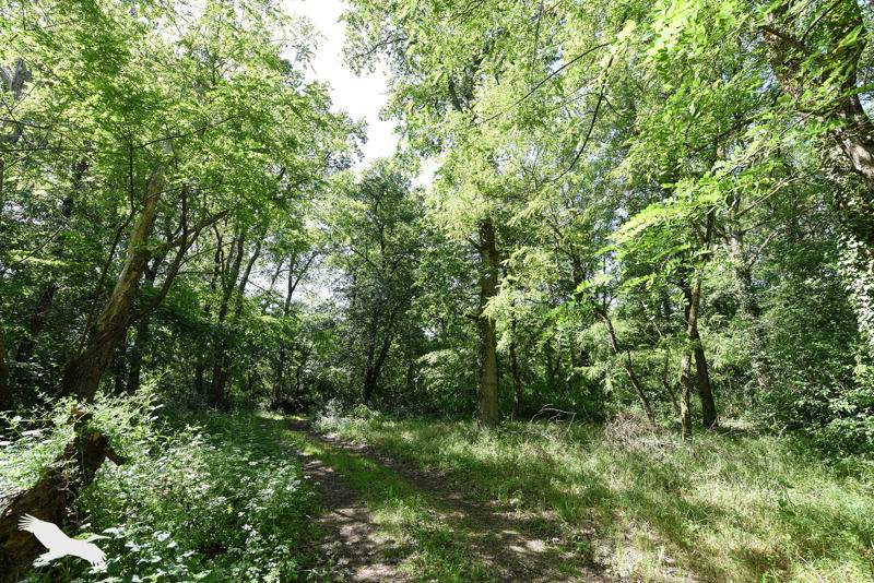 Vente Maison LE CONTROIS EN SOLOGNE - 2 pièces -110 m² - (41120)