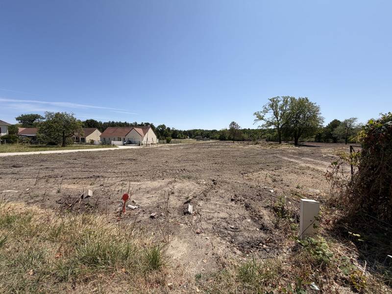 Vente Terrain MUR DE SOLOGNE - -7500 m² - (41230)