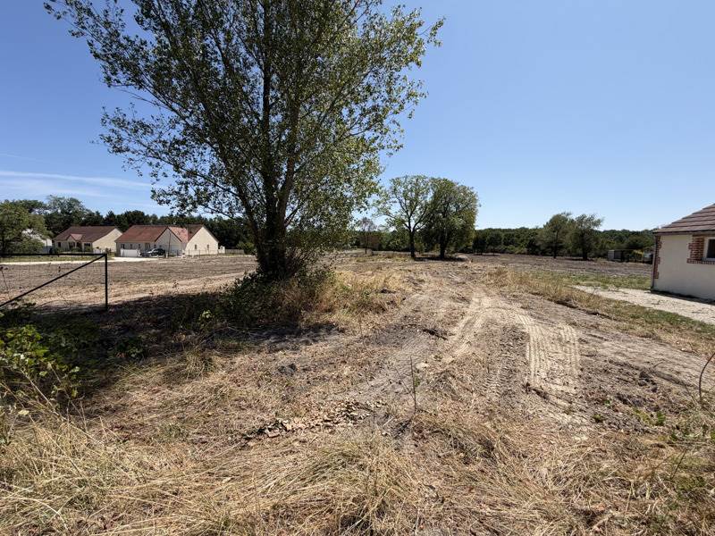 Vente Terrain MUR DE SOLOGNE - -7500 m² - (41230)