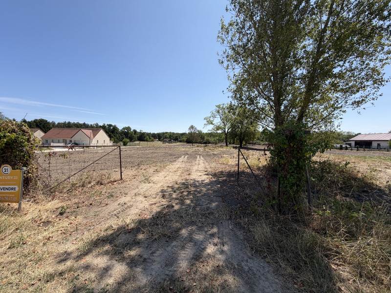 Vente Terrain MUR DE SOLOGNE - -700 m² - (41230)