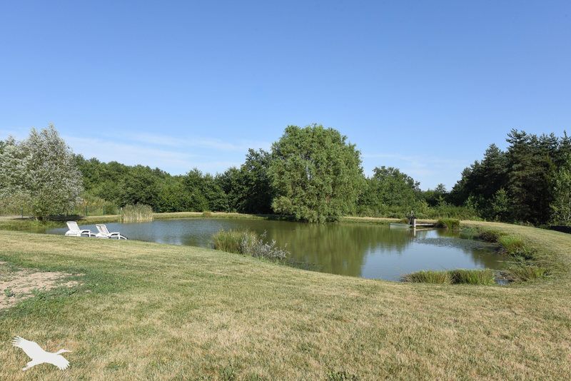 Vente Maison FONTAINES EN SOLOGNE - 8 pièces -231 m² - (41250)