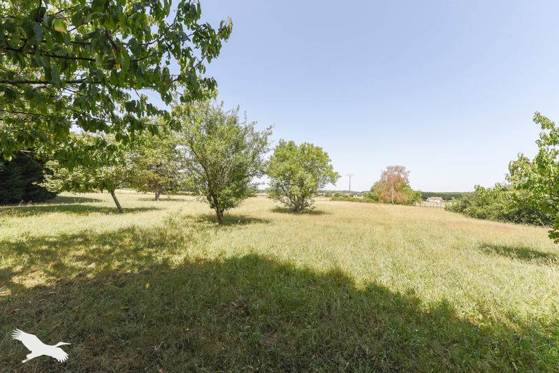 Vente Maison SASSAY - 6 pièces -176 m² - (41700)