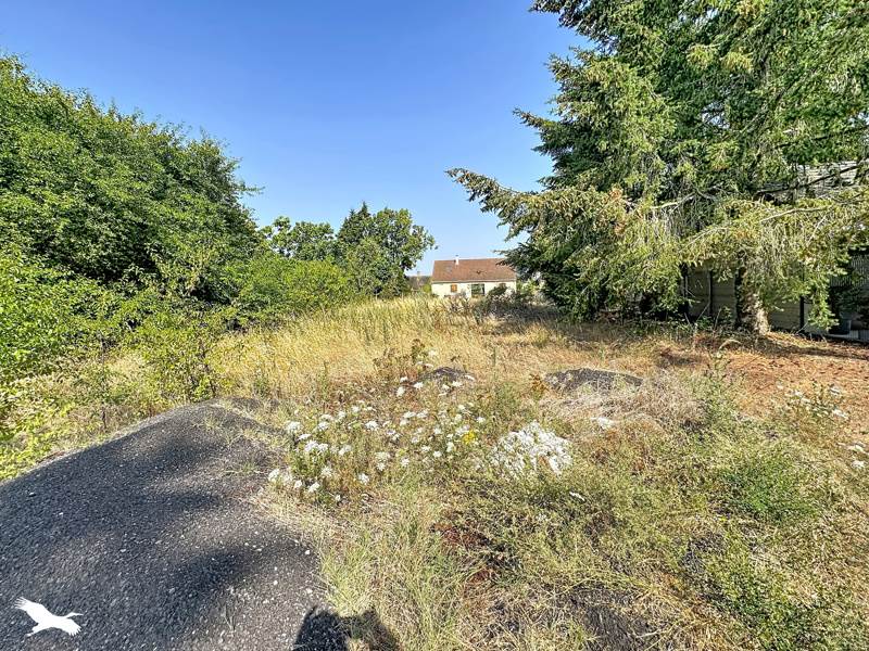 Vente Terrain SOINGS EN SOLOGNE - -1120 m² - (41230)