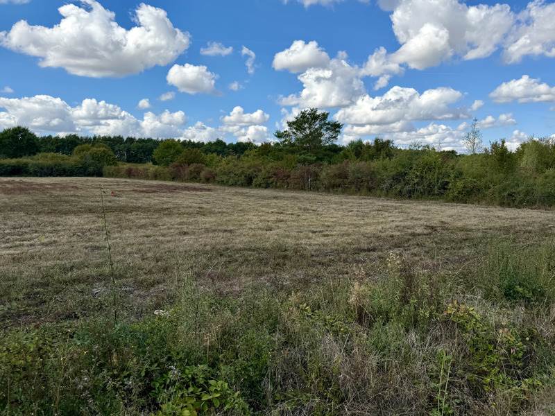 Vente Terrain SASSAY - -701 m² - (41700)