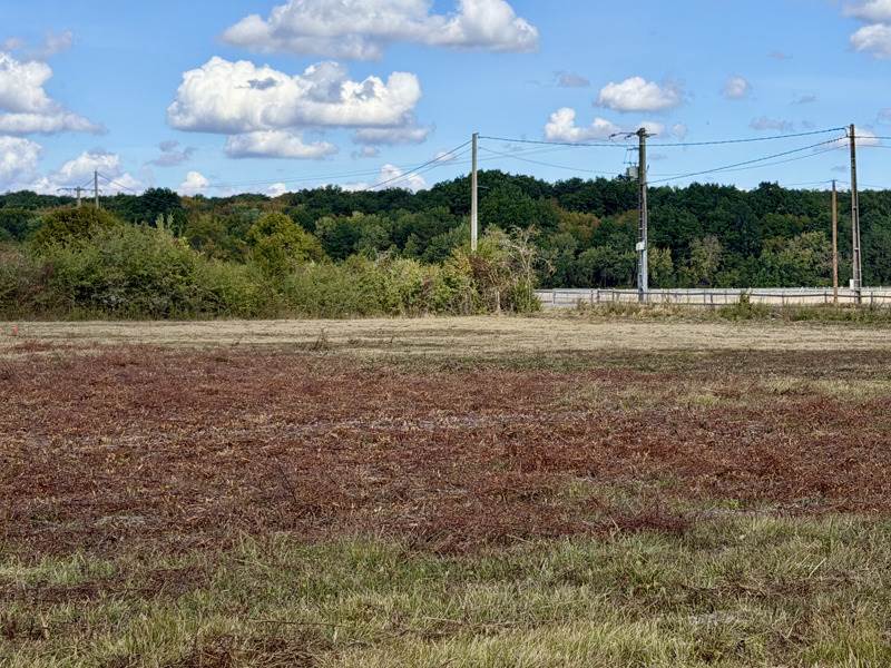Vente Terrain SASSAY - -701 m² - (41700)