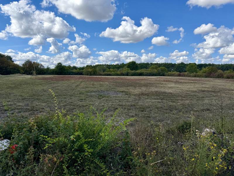 Vente Terrain SASSAY - -700 m² - (41700)