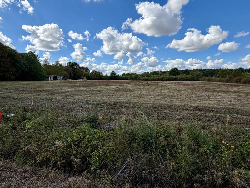 Vente Terrain SASSAY - -700 m² - (41700)