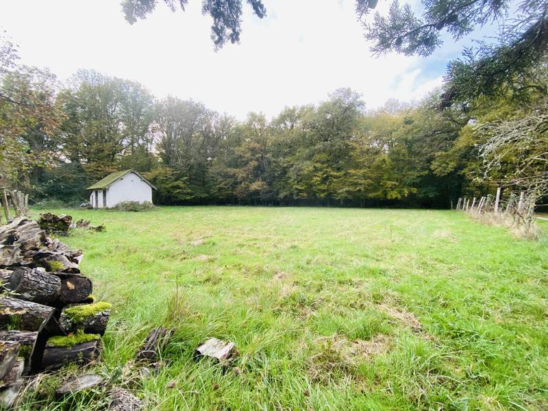 Vente Château Cour-Cheverny - 19 pièces -480 m² - (41700)