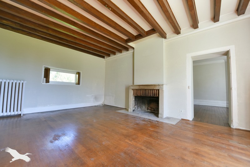 Vente Château Cour-Cheverny - 19 pièces -480 m² - (41700)