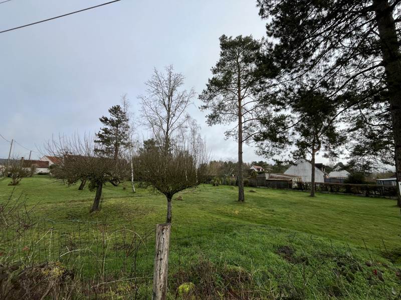 Vente Terrain Mont-près-Chambord - -951 m² - (41250)