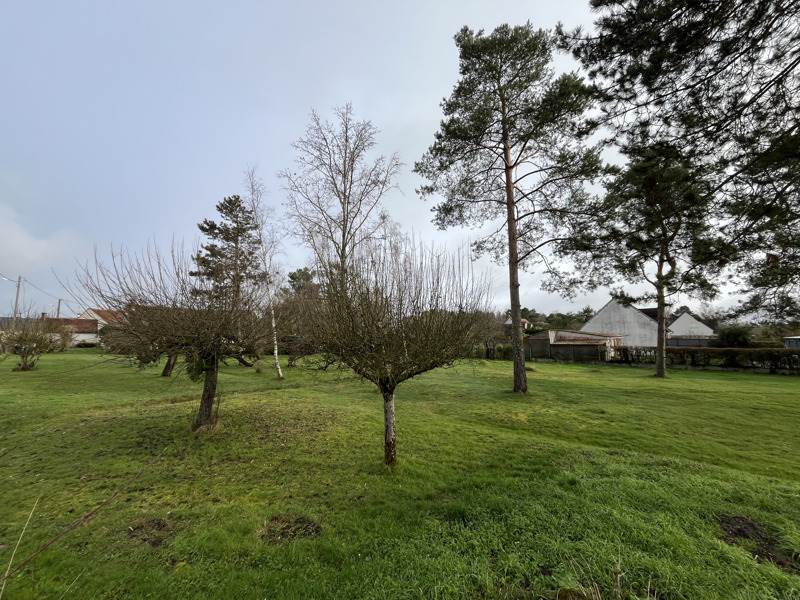 Vente Terrain Mont-près-Chambord - -951 m² - (41250)