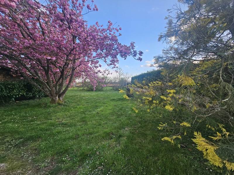 Vente Maison VINEUIL - 5 pièces -172 m² - (41350)
