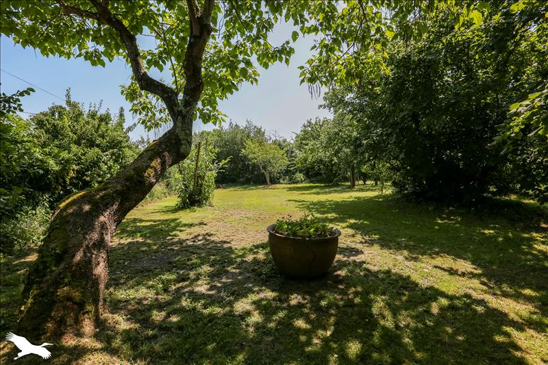 Vente Maison ST AIGULIN - 10 pièces -220 m² - (17360)