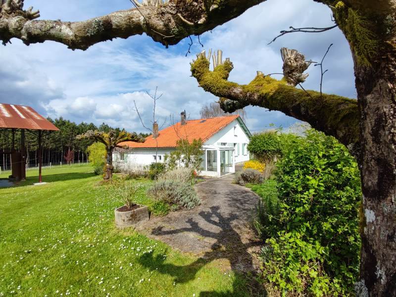 Vente Maison LA GENETOUZE - 7 pièces -134 m² - (17360)