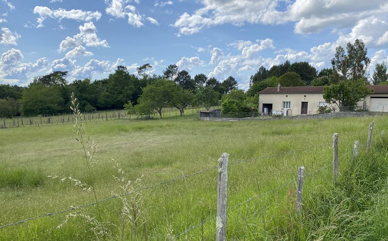 Vente Terrain ST MARTIN DE COUX - -1265 m² - (17360)