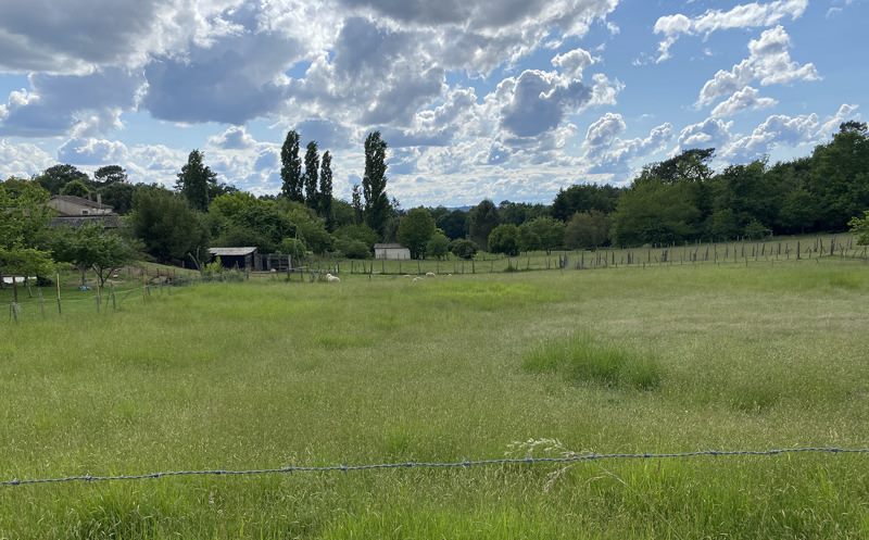 Vente Terrain ST MARTIN DE COUX - -1265 m² - (17360)