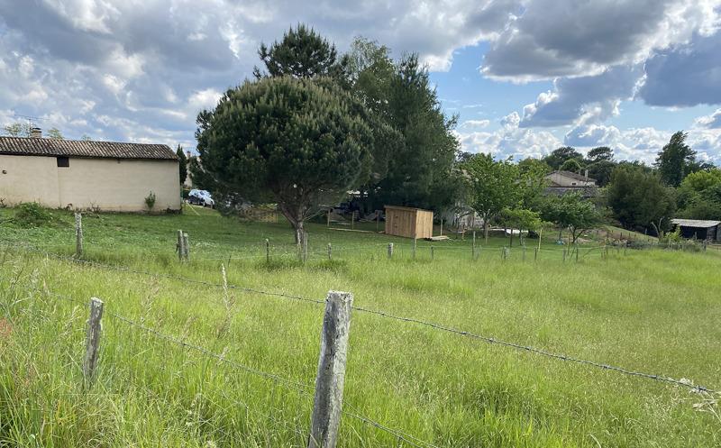 Vente Terrain ST MARTIN DE COUX - -2530 m² - (17360)