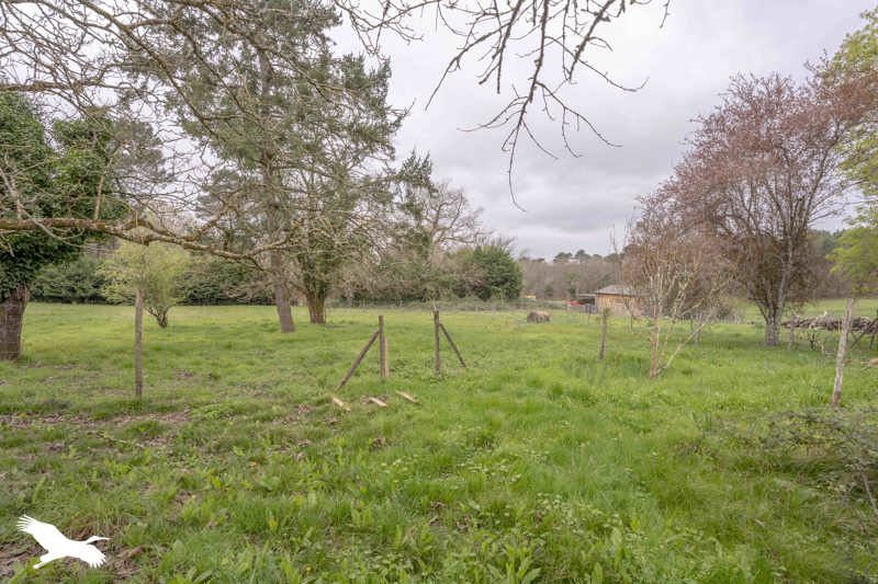 Vente Maison ST MARTIN DE COUX - 5 pièces -147 m² - (17360)