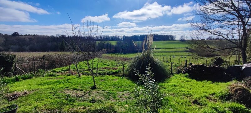 Vente Maison ST MARTIN DE COUX - 3 pièces -72 m² - (17360)