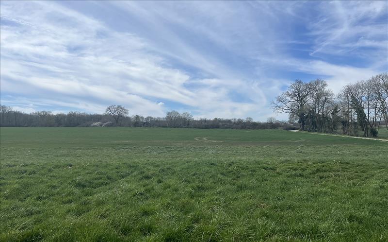 Vente Terrain BOURG DU BOST - -4325 m² - (24600)