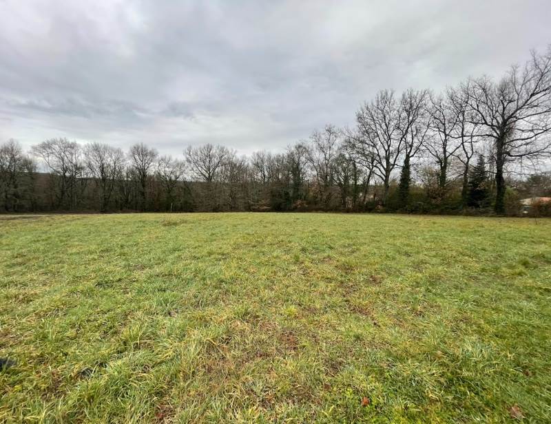 Vente Terrain RIBERAC - -3833 m² - (24600)