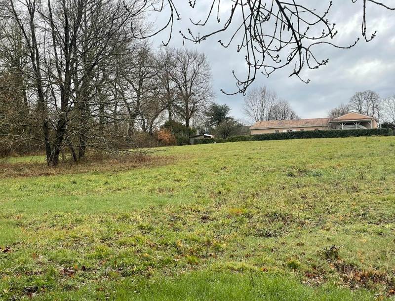 Vente Terrain RIBERAC - -3833 m² - (24600)