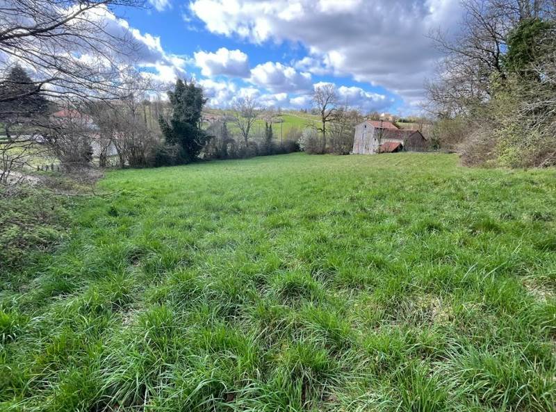 Vente Terrain RIBERAC - -4657 m² - (24600)