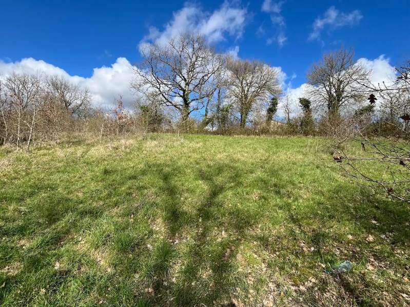 Vente Terrain RIBERAC - -4657 m² - (24600)