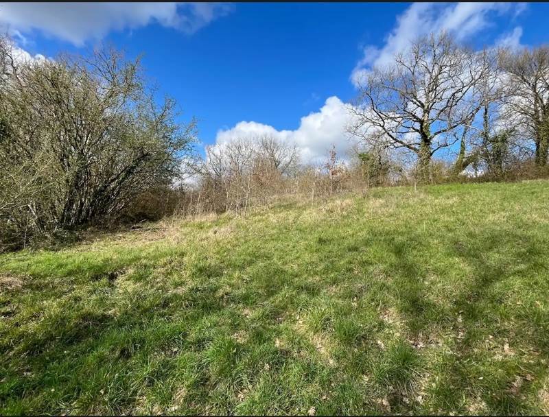 Vente Terrain RIBERAC - -6991 m² - (24600)