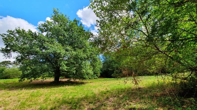 Vente Terrain Saint Privat en Périgord - -1650 m² - (24410)