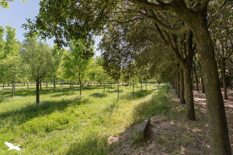 Vente Appartement MONTPELLIER - 3 pièces -67 m² - (34000)