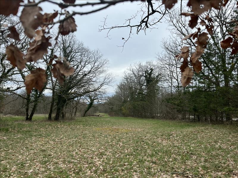Vente Terrain PROMILHANES - -3392 m² - (46260)